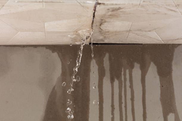 Professional Structural Drying technician working in Graytown, OH